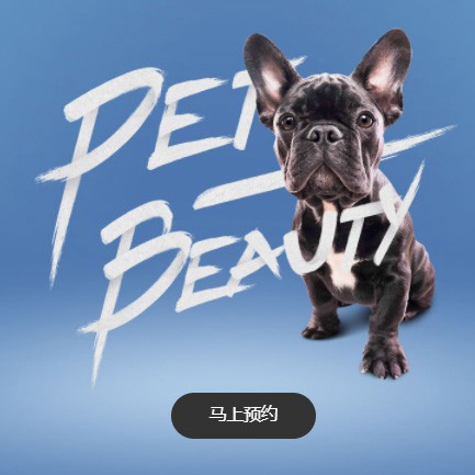 虹口宠物中心小程序开发